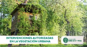 itervenciones autorizadas de vegetación urbana en medellín