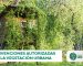 itervenciones autorizadas de vegetación urbana en medellín